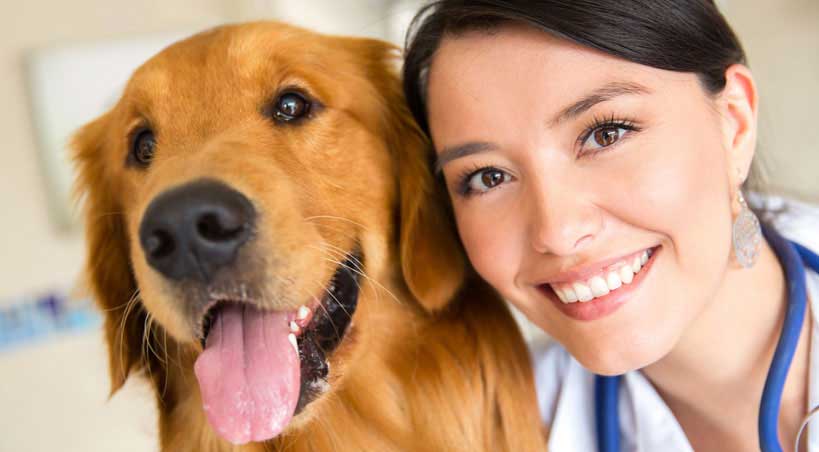 Veterinarios de Puerto Rico