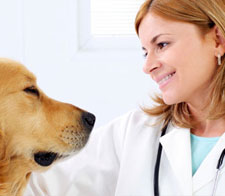 Clinica Veterinaria Borinquen