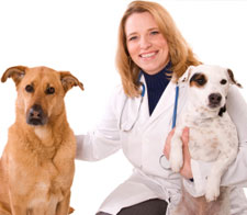 Caguas Veterinary Hospital Inc