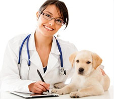 Levittown Veterinary Clinic