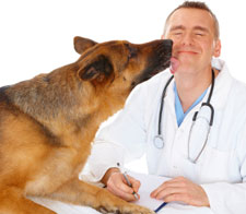 Amieiro Juan P DVM/Pet Health Center